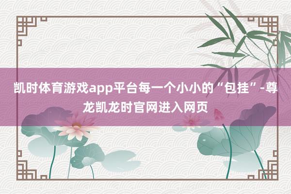 凯时体育游戏app平台每一个小小的“包挂”-尊龙凯龙时官网进入网页