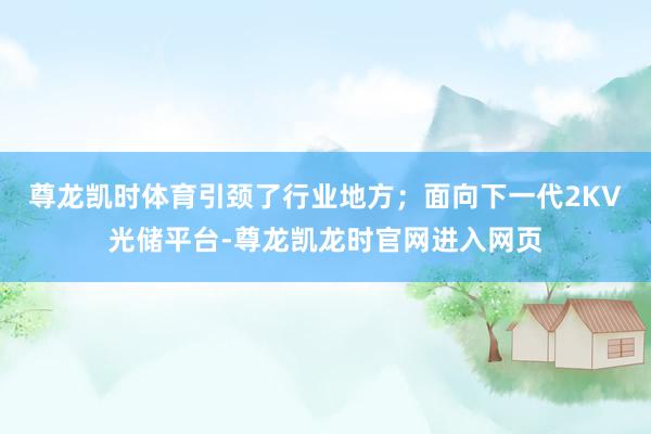 尊龙凯时体育引颈了行业地方；面向下一代2KV光储平台-尊龙凯龙时官网进入网页