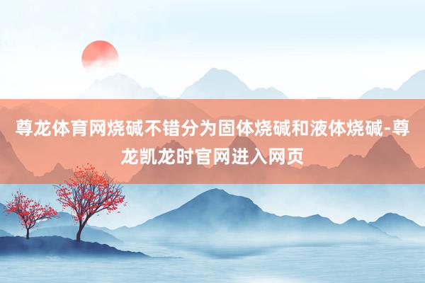 尊龙体育网烧碱不错分为固体烧碱和液体烧碱-尊龙凯龙时官网进入网页